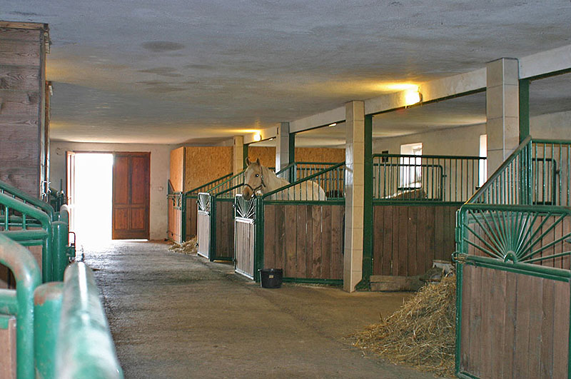 staje06.jpg